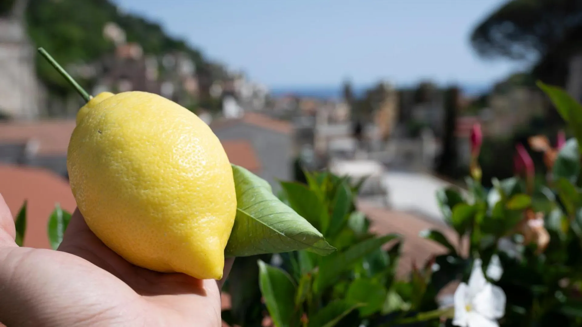 Valle D'Amalfi Suites 2*, Amalfi Italien